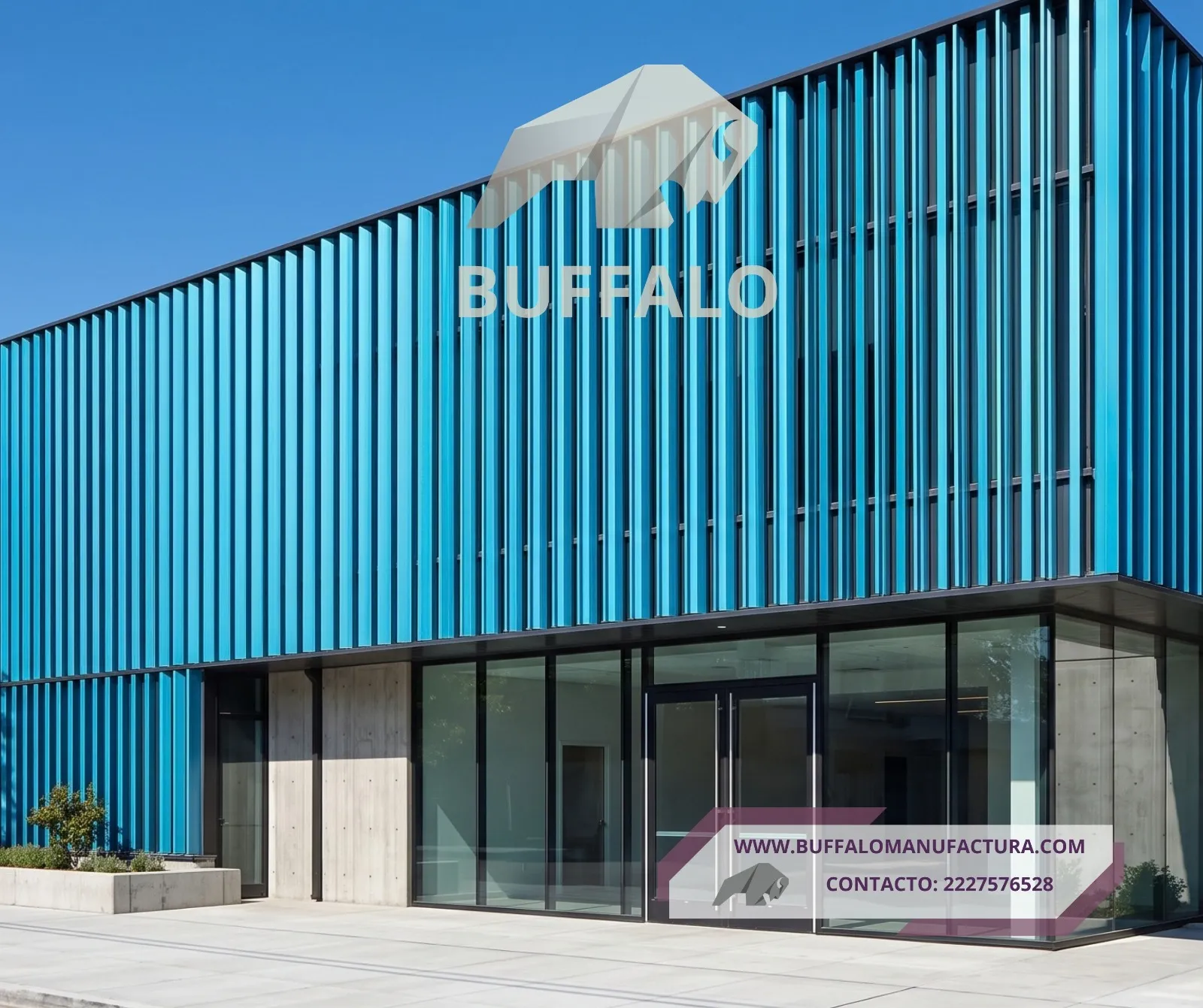 Fachada Arquitectónica 3D BUFFALO