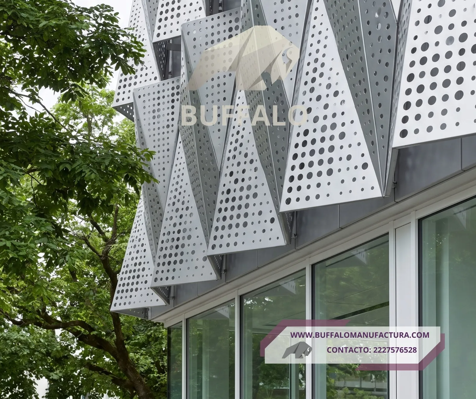 Fachada Arquitectónica 3D BUFFALO